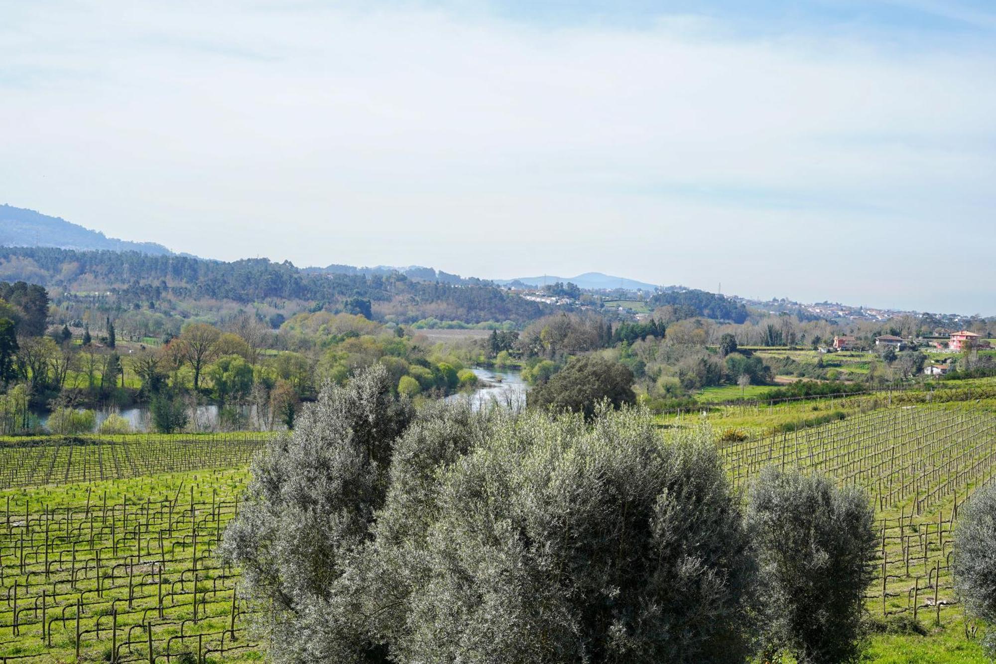Séjour à la campagne Solar Bouças